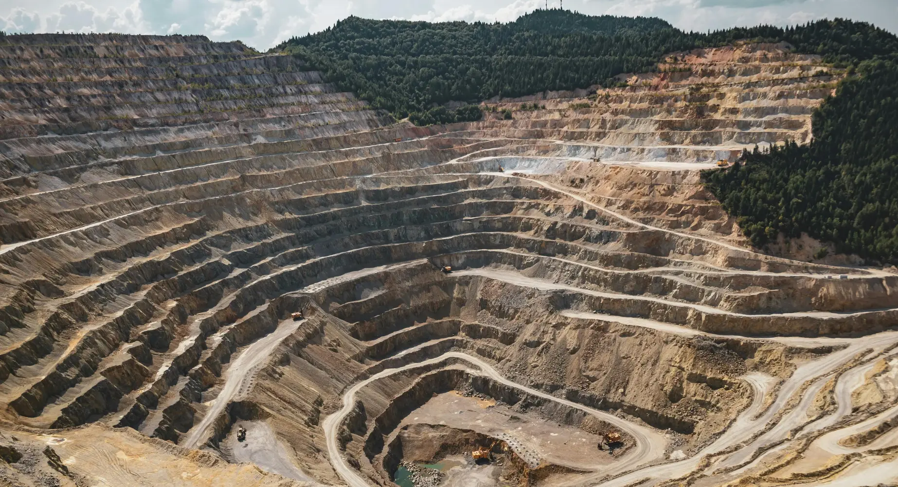 Understanding your sector